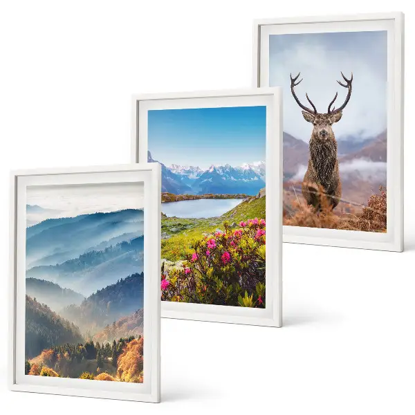 Set of 3 framed wall art pieces featuring a scenic mountain lake and deer