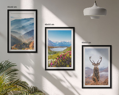 Set of 3 framed wall art pieces Mountain lake deer nature