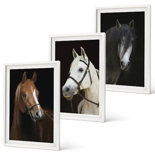 Three-piece wall art piece Portraits of horses in shades of fur