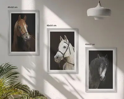 Three-piece wall art piece Portraits of horses in shades of fur