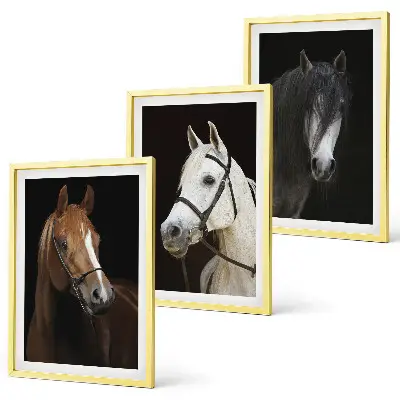 Three-piece wall art piece Portraits of horses in shades of fur
