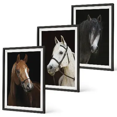 Three-piece wall art piece Portraits of horses in shades of fur
