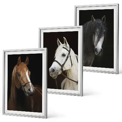 Three-piece horse portrait wall art set featuring shades of fur