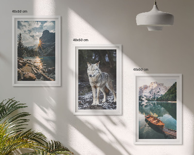 Set of 3 framed wall art pieces Mountains lakes wolf nature