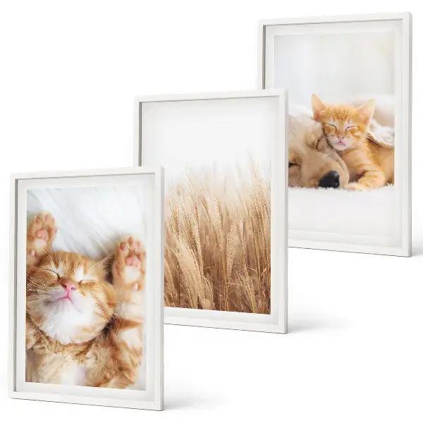 Wall art set featuring cute cats and dogs in boho style