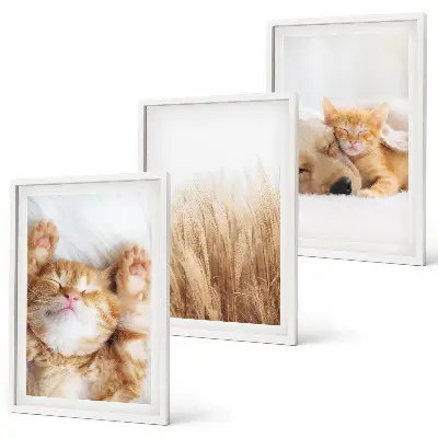 Wall art set Cute animals cats dogs boho