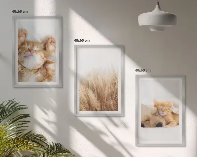 Wall art set featuring cute cats and dogs in boho style