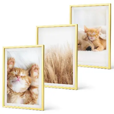 Wall art set featuring cute cats and dogs in boho style