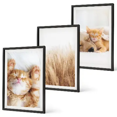 Wall art set featuring cute cats and dogs in boho style
