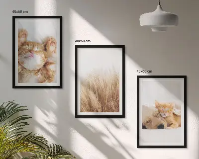 Wall art set featuring cute cats and dogs in boho style