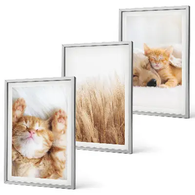Wall art set featuring cute cats and dogs in boho style