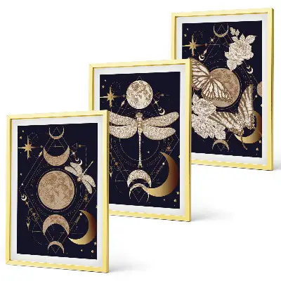 Three-piece wall art set featuring nature motifs and moon flowers