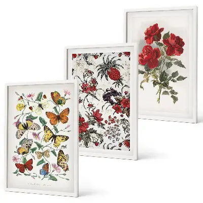 Set of 3 framed wall art pieces featuring butterflies and red roses