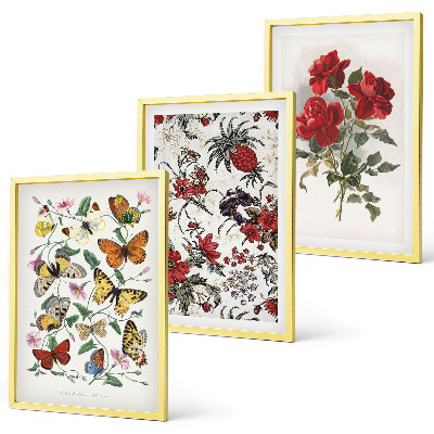 Set of 3 framed wall art pieces Butterflies flowers red roses