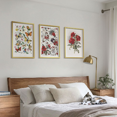 Set of 3 framed wall art pieces Butterflies flowers red roses