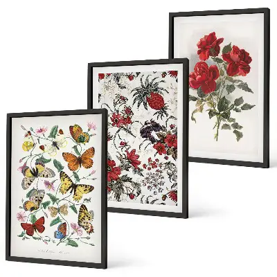 Set of 3 framed wall art pieces featuring butterflies and red roses