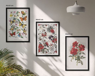 Set of 3 framed wall art pieces Butterflies flowers red roses