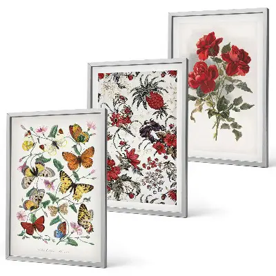Set of 3 framed wall art pieces featuring butterflies and red roses