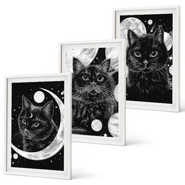 Three-piece wall art piece Black cats moon space