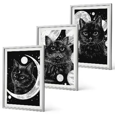 Three-piece wall art piece Black cats moon space