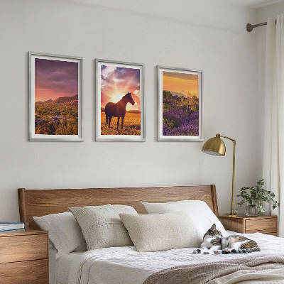 Three-piece wall art piece Mountain landscape with a horse