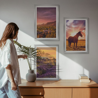 Three-piece wall art piece Mountain landscape with a horse