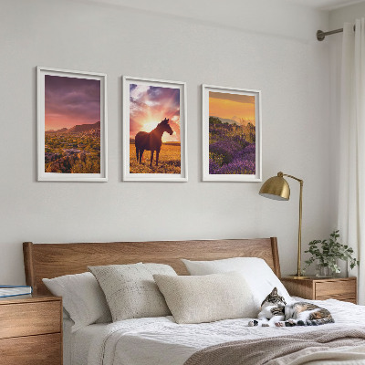 Three-piece wall art piece Mountain landscape with a horse