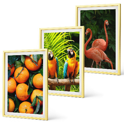 Wall art set Fruity accents in the tropics
