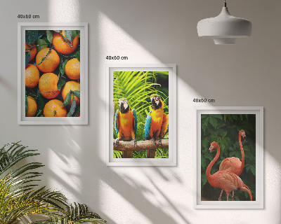 Wall art set Fruity accents in the tropics