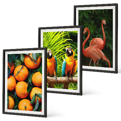 Wall art set Fruity accents in the tropics
