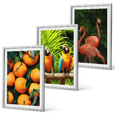 Wall art set fruity accents in the tropics theme