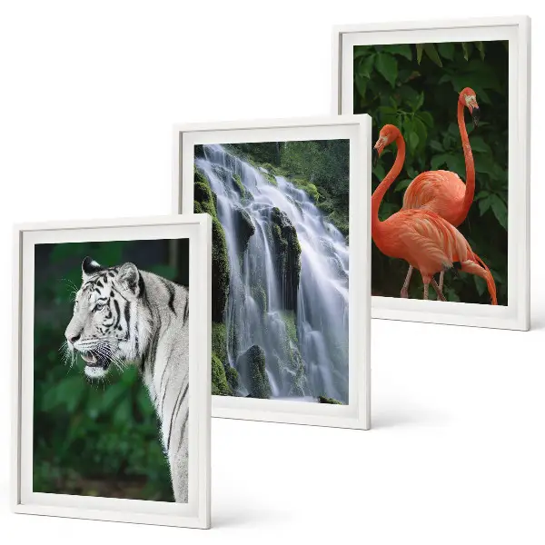 Three-piece nature wall art set featuring a tiger, waterfall, and flamingos
