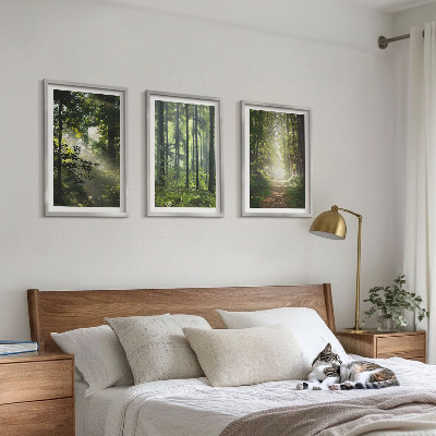 Wall art set Green forests with rays of light
