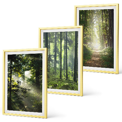 Wall art set Green forests with rays of light