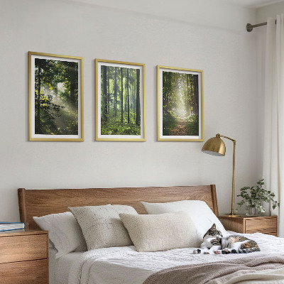 Wall art set Green forests with rays of light