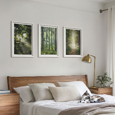 Wall art set Green forests with rays of light