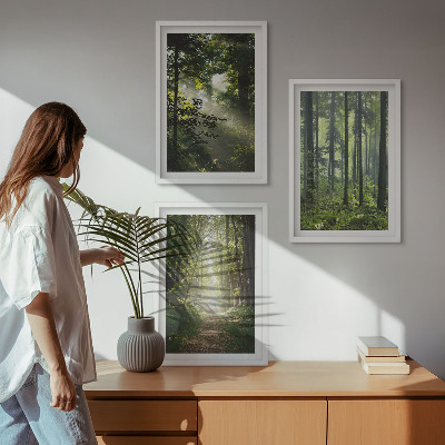 Wall art set Green forests with rays of light