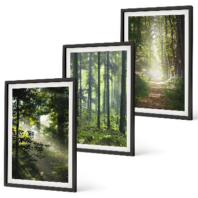 Wall art set Green forests with rays of light