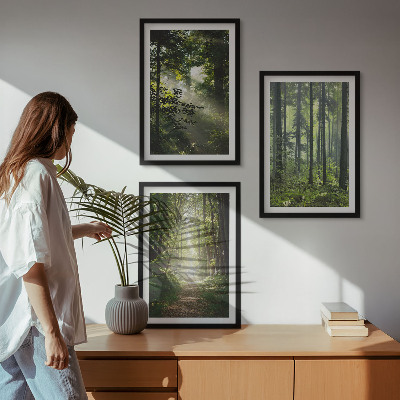 Wall art set Green forests with rays of light