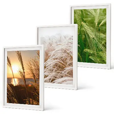 Three-piece wall art set colorful nature grasses design