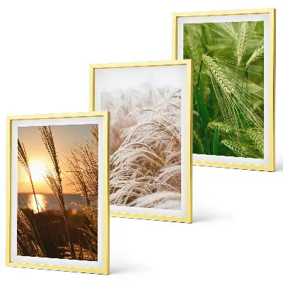 Three-piece wall art set colorful nature grasses design