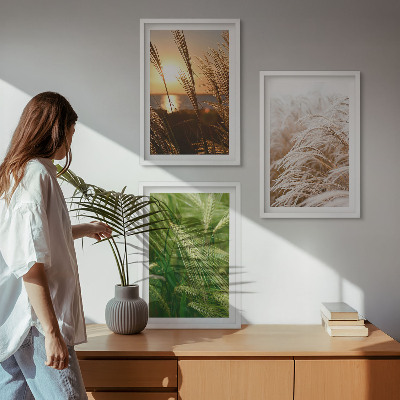Three-piece wall art piece Grasses colorful nature