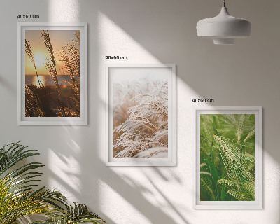 Three-piece wall art piece Grasses colorful nature