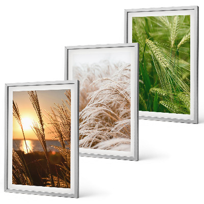 Three-piece wall art piece Grasses colorful nature