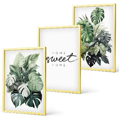 Sweet Home plants wall art set 