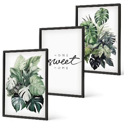 Wall art set Plants with the words Sweet Home