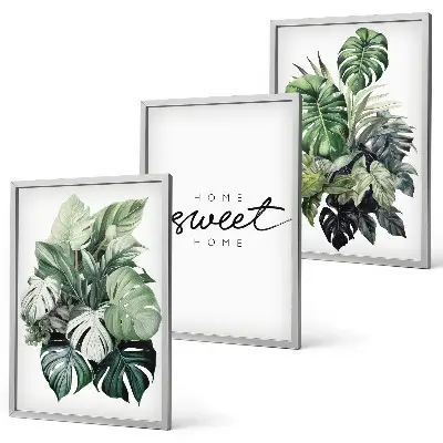 Sweet Home plants wall art set 