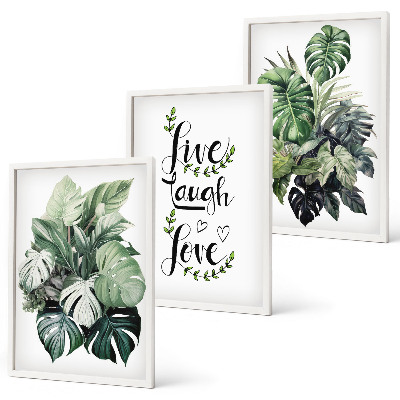 Three-piece wall art piece Leafy plants live laugh love