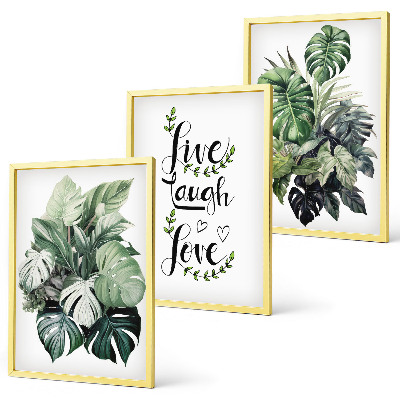 Three-piece wall art piece Leafy plants live laugh love