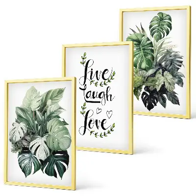 Leafy plants live laugh love wall art set three-piece canvas print